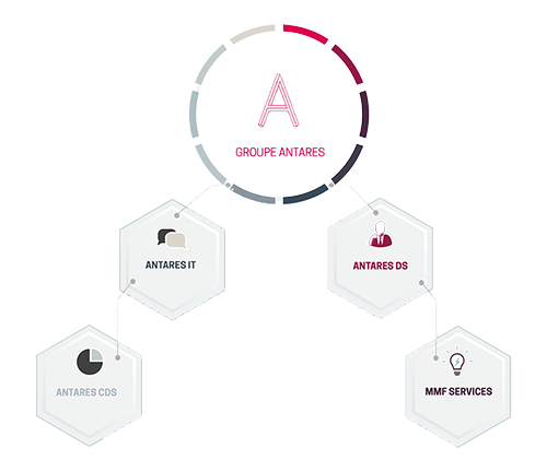 Organigramme Juridique Antares